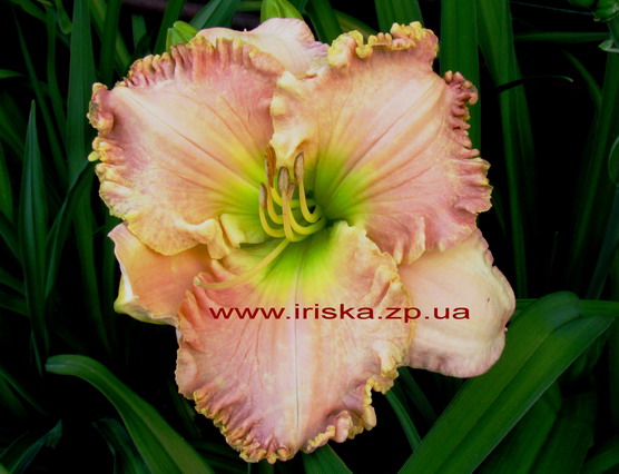 Jacqueline Kennedy Onassis